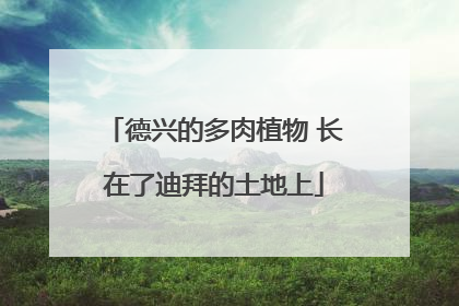 德兴的多肉植物 长在了迪拜的土地上