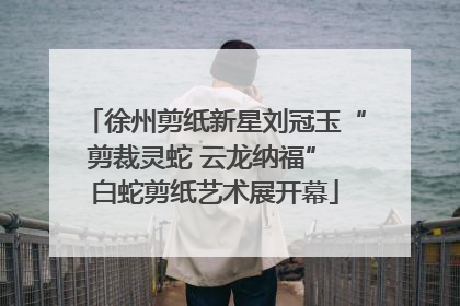徐州剪纸新星刘冠玉“剪裁灵蛇 云龙纳福” 白蛇剪纸艺术展开幕