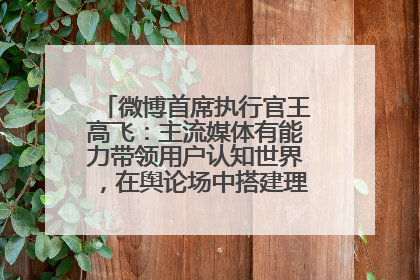 微博首席执行官王高飞：主流媒体有能力带领用户认知世界，在舆论场中搭建理性的讨论空间