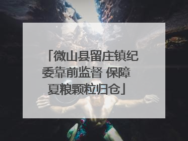 微山县留庄镇纪委靠前监督 保障夏粮颗粒归仓