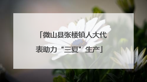 微山县张楼镇人大代表助力“三夏”生产