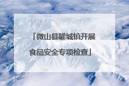 微山县驩城镇开展食品安全专项检查