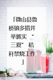 微山县鲁桥镇多措并举抓实 “三夏” 秸秆禁烧工作