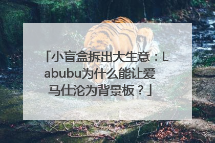 小盲盒拆出大生意：Labubu为什么能让爱马仕沦为背景板？