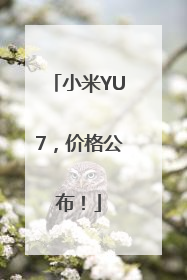小米YU7，价格公布！