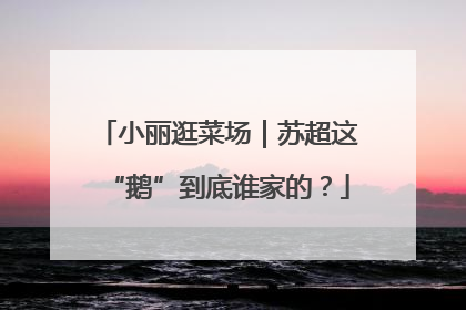 小丽逛菜场｜苏超这“鹅”到底谁家的？