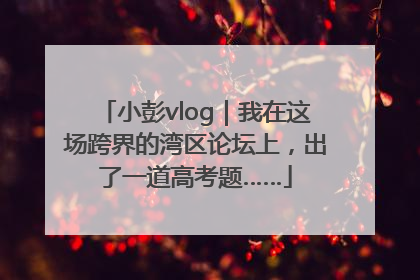 小彭vlog｜我在这场跨界的湾区论坛上，出了一道高考题……
