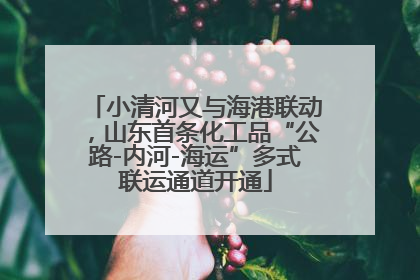 小清河又与海港联动，山东首条化工品“公路-内河-海运”多式联运通道开通