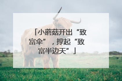 小蘑菇开出“致富伞”，撑起“致富半边天”