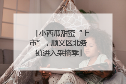 小西瓜甜蜜“上市”，顺义区北务镇进入采摘季