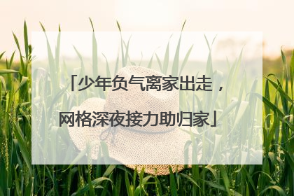 少年负气离家出走，网格深夜接力助归家