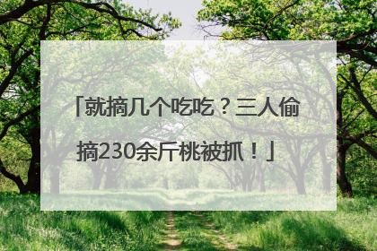 就摘几个吃吃？三人偷摘230余斤桃被抓！