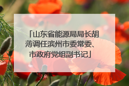 山东省能源局局长胡薄调任滨州市委常委、市政府党组副书记