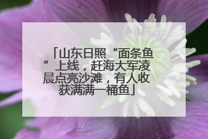 山东日照“面条鱼”上线，赶海大军凌晨点亮沙滩，有人收获满满一桶鱼
