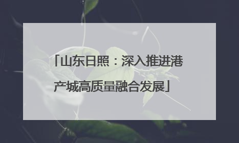 山东日照：深入推进港产城高质量融合发展