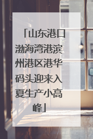 山东港口渤海湾港滨州港区港华码头迎来入夏生产小高峰