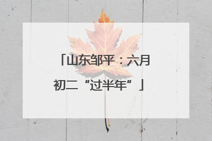 山东邹平：六月初二“过半年”