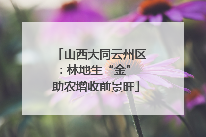 山西大同云州区：林地生“金” 助农增收前景旺