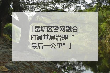 岳塘区警网融合 打通基层治理“最后一公里”