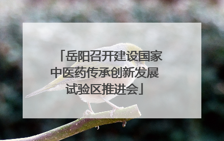 岳阳召开建设国家中医药传承创新发展试验区推进会