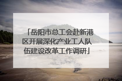 岳阳市总工会赴新港区开展深化产业工人队伍建设改革工作调研