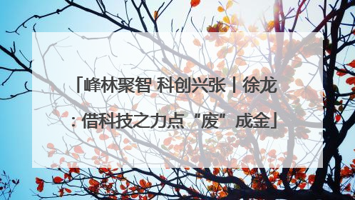 峰林聚智 科创兴张丨徐龙：借科技之力点“废”成金