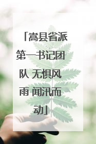 嵩县省派第一书记团队 无惧风雨 闻汛而动