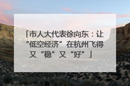 市人大代表徐向东：让“低空经济”在杭州飞得又“稳”又“好”