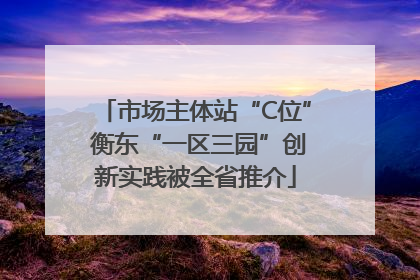 市场主体站“C位” 衡东“一区三园”创新实践被全省推介
