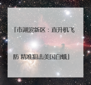 市湖滨新区：直升机飞防 精准狙击美国白蛾