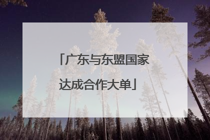 广东与东盟国家达成合作大单
