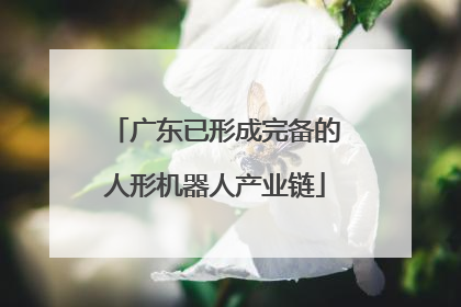 广东已形成完备的人形机器人产业链