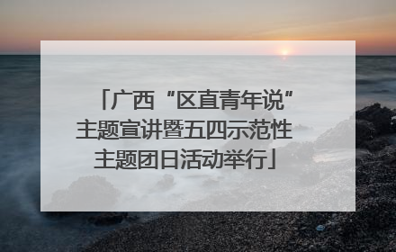 广西“区直青年说”主题宣讲暨五四示范性主题团日活动举行