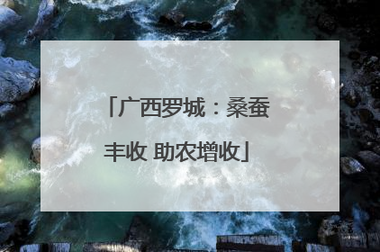 广西罗城：桑蚕丰收 助农增收