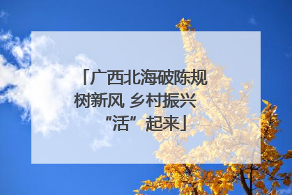 广西北海破陈规树新风 乡村振兴“活”起来