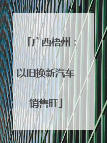 广西梧州：以旧换新汽车销售旺