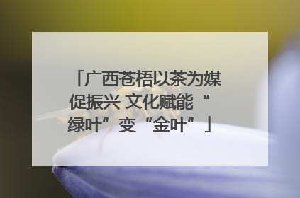 广西苍梧以茶为媒促振兴 文化赋能“绿叶”变“金叶”