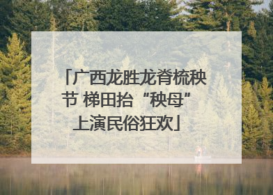 广西龙胜龙脊梳秧节 梯田抬“秧母”上演民俗狂欢