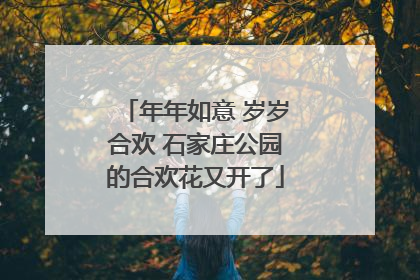年年如意 岁岁合欢 石家庄公园的合欢花又开了