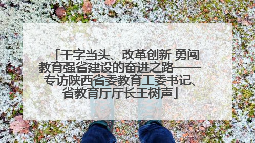 干字当头、改革创新 勇闯教育强省建设的奋进之路——专访陕西省委教育工委书记、省教育厅厅长王树声