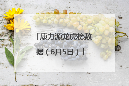 康力源龙虎榜数据（6月5日）