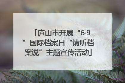 庐山市开展“6·9”国际档案日“请听档案说”主题宣传活动