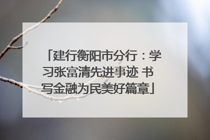 建行衡阳市分行：学习张富清先进事迹 书写金融为民美好篇章