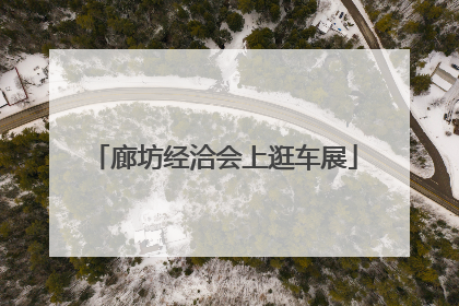 廊坊经洽会上逛车展