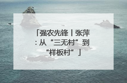 强农先锋丨张萍：从“三无村”到“样板村”
