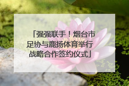 强强联手！烟台市足协与鹿扬体育举行战略合作签约仪式