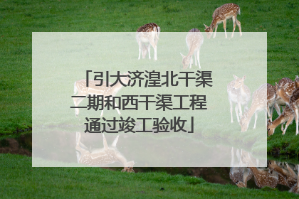 引大济湟北干渠二期和西干渠工程通过竣工验收