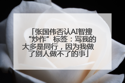 张国伟否认AI智搜“炒作”标签：骂我的大多是同行，因为我做了别人做不了的事