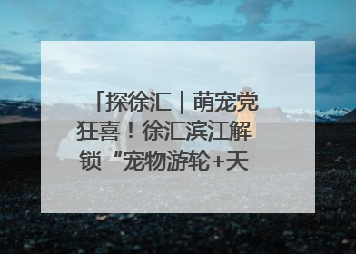探徐汇｜萌宠党狂喜！徐汇滨江解锁“宠物游轮+天台乐园”双玩法