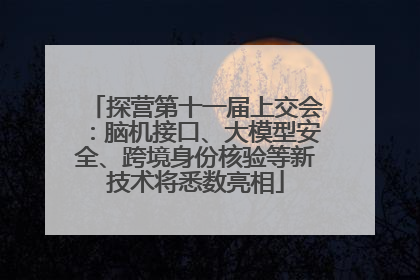 探营第十一届上交会：脑机接口、大模型安全、跨境身份核验等新技术将悉数亮相